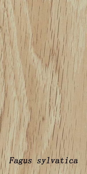 Haibang Home Furnishings Solid Wood sylvatica