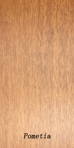 Haibang Home Furnishings Solid Wood Pometia