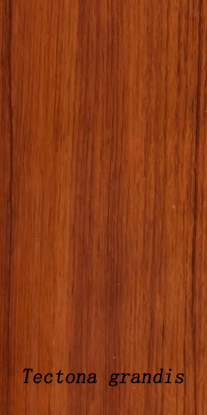 Haibang Home Furnishings Solid Wood Tectona grandis